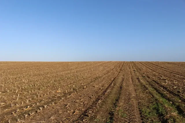 Foto 2 de terreno en venta en Urubó, Santa Cruz de la Sierra